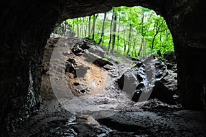 Hiking a wooded trail in Kentucky leading to a cave.