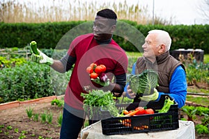 Getting to know the neighbors at the country houses in village