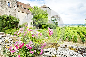 Gevrey-Chambertin Castle