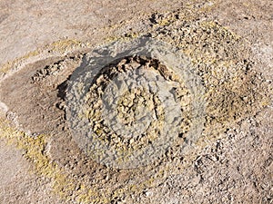 Geyser basin Sol de Manana, Bolivia