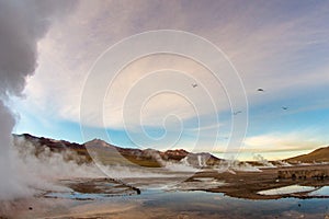 Geyser del Tatio