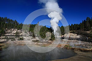 Geyser erupting in Yellowstone photo