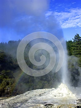 Geyser eruption, New Zealand