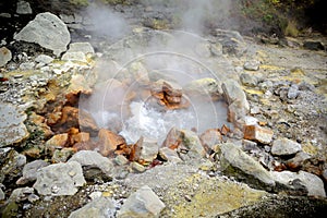 Geyser Furnas, on Sao Miguel Island, Azores