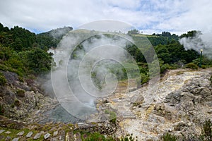 Geyser in Furnas town, Sao Miguel island, Azores, Portugal