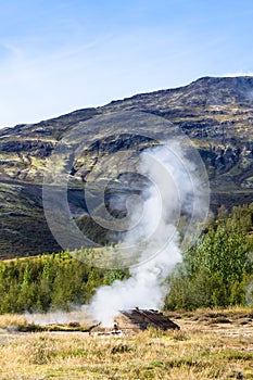 geyser in Haukadalur valley in Iceland