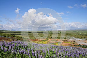 Geyser Hot Spring Area, Haukadalur Valley, South Iceland