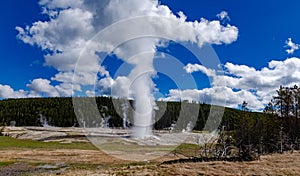 Geyser Old Faithful erupts in Yellowstone National Park in Wyoming, US