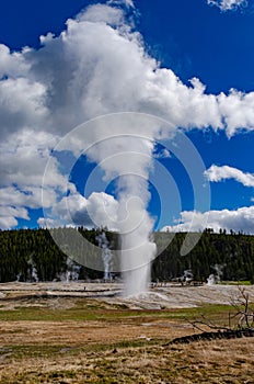 Geyser Old Faithful erupts in Yellowstone National Park in Wyoming, US