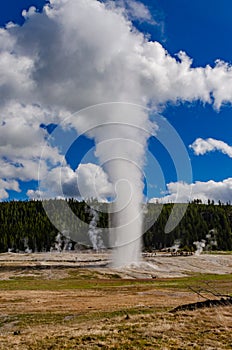 Geyser Old Faithful erupts in Yellowstone National Park in Wyoming, US