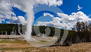 Geyser Old Faithful erupts in Yellowstone National Park in Wyoming, US