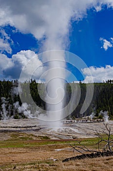 Geyser Old Faithful erupts in Yellowstone National Park in Wyoming, US