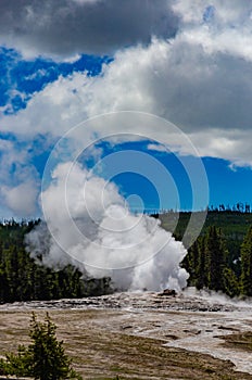 Geyser Old Faithful erupts in Yellowstone National Park in Wyoming, US