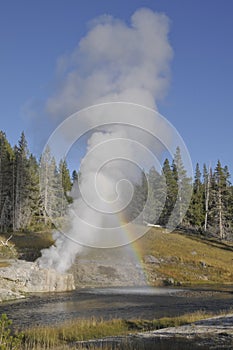 Geyser with rainbow, Yellowstone