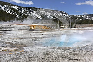 Geyser at Yellowstone National Park