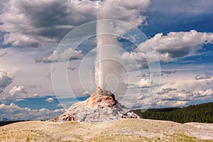 Geyser, Yellowstone National Park, Wyoming