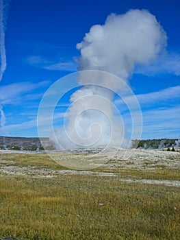 a geyser in the yellowstone park