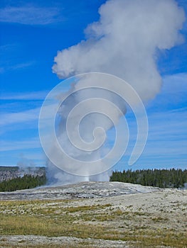 a geyser in the yellowstone park