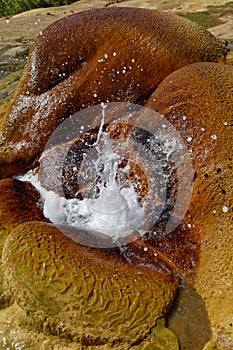 The geysers of Analavory in Madagascar