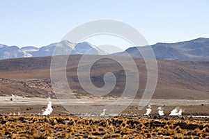 Geysers del tatio photo