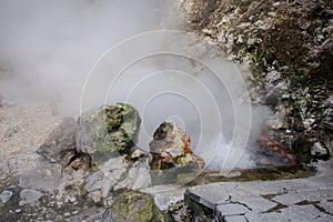 Geysers in Furnas valley, Sao Miguel island, Azores, Portugal