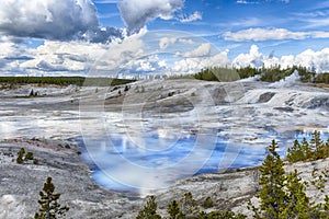 Geysers at Norris Basin