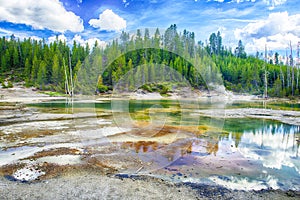 Geysers at Norris Basin in Yellowstone