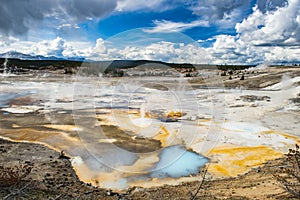 Geysers at Norris Basin in Yellowstone National Park in the USA