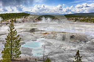 Geysers at Norris Basin in Yellowstone National Park in the USA