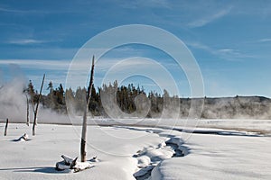 Geysers in Yellowstone National Park in winter