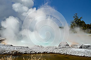 Geyzer eruption at Wairakei Thermal park photo