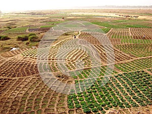 Ghana fields - african rural landscape