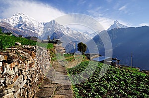 Ghandruk Village with Annapurna South at the background in the Annapurna Region photo