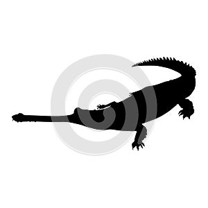 Gharial Gavialis gangeticus Silhouette Found In Map Of Asia