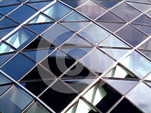 Gherkin 10 photo