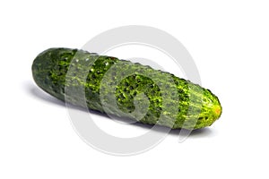 Gherkin isolated on white background
