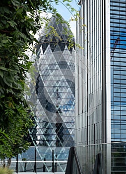 Gherkin Swiss Re Building, 30 St Mary Axe in the City of London financial district, UK. Photographed from Fen Court Garden.