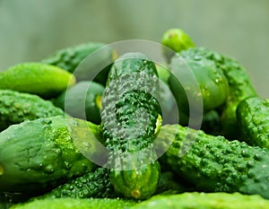 Gherkins