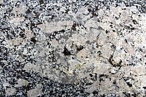 Ghiandone granite rock orthoclase crystals photo
