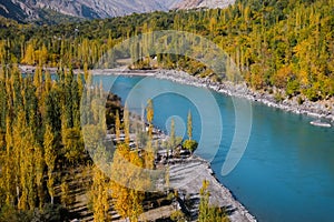 Ghizer river flowing through forest