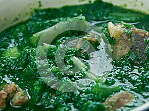 Ghormeh sabzi