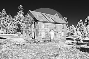 Ghost Bunkhouse In The Ochocos