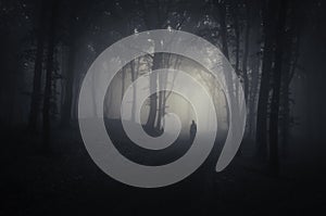 Ghost in a dark spooky forest on Halloween