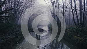 A ghost figure reflected in a pond in an eerie forest. On a mysterious foggy, winters day