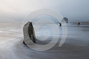 Ghost Forrest Beach