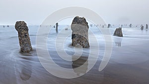 Ghost Forrest Beach