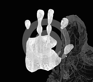 Happy Halloween is suitable for use as a backdrop.