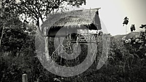 Ghost Bungalow in Jungle photo