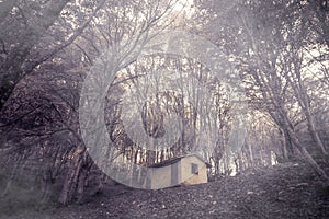 Ghost house in the foggy forest