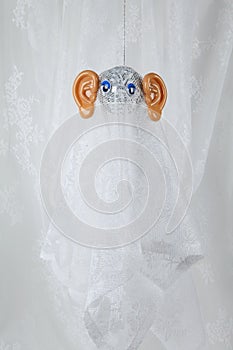 Ghost in lace curtain big ear